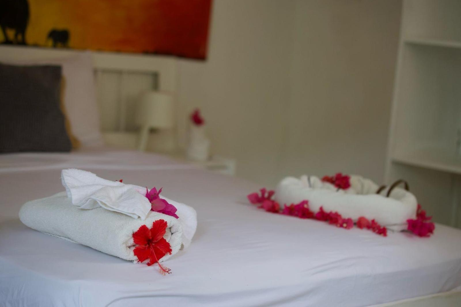 Afreeka Beach Hotel ลาสแตร์เรนาส ภายนอก รูปภาพ