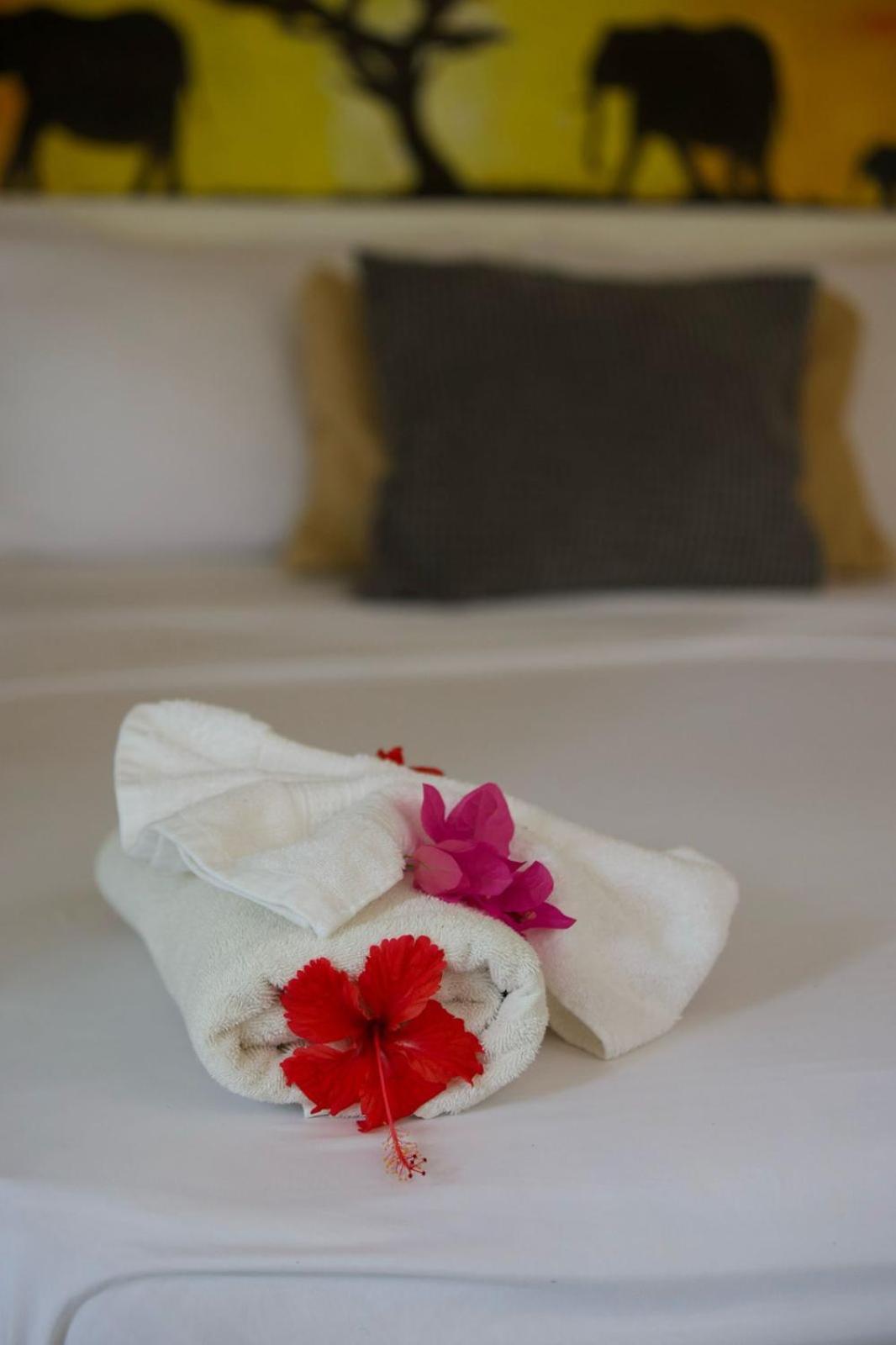 Afreeka Beach Hotel ลาสแตร์เรนาส ภายนอก รูปภาพ